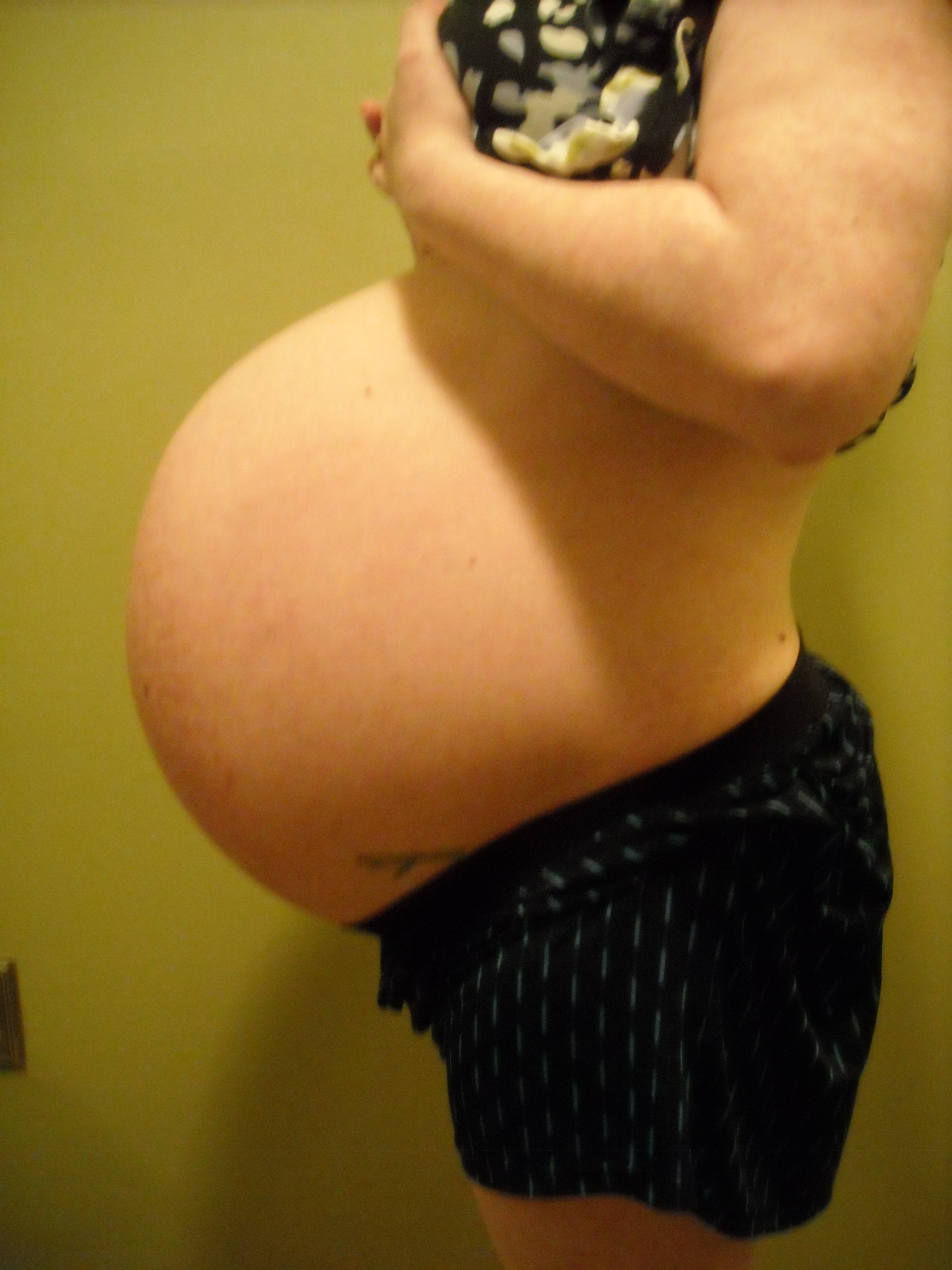 Pregnant Bellies Twins 71