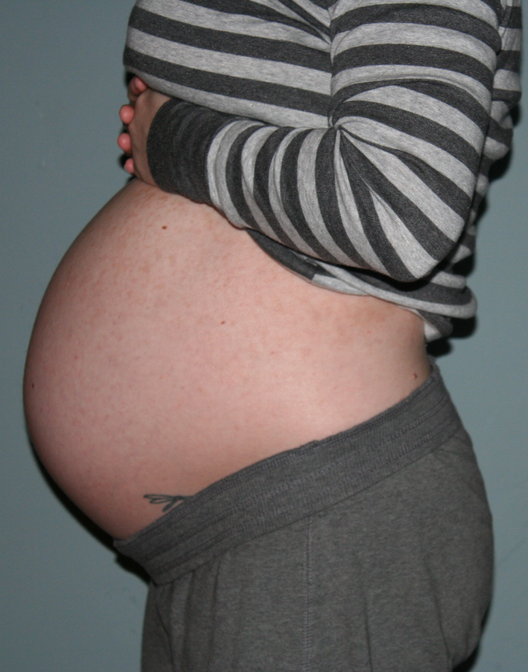 Фото живота на 26 неделе беременности фото