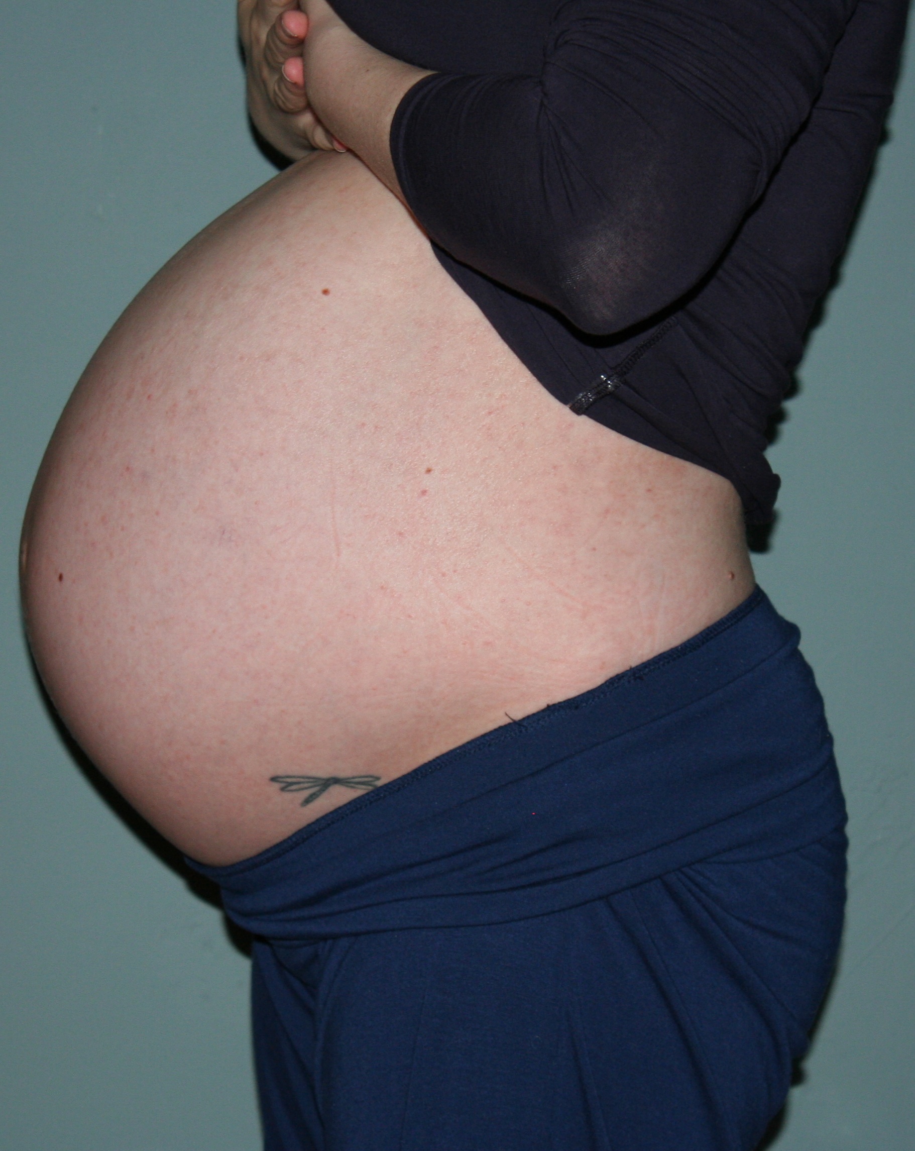 25 неделя беременности как выглядит