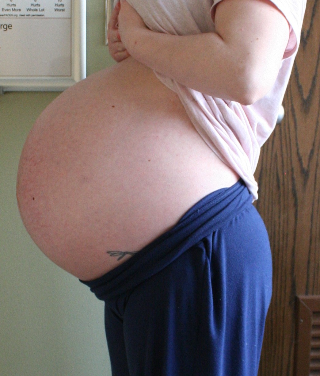 Многоплодная беременность живот
